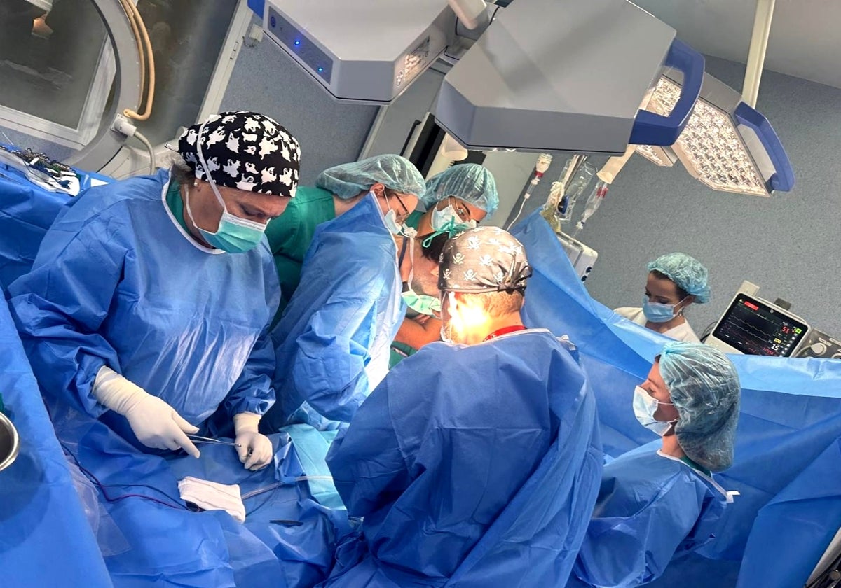 Intervención en el Hospital Cruz Roja de Córdoba