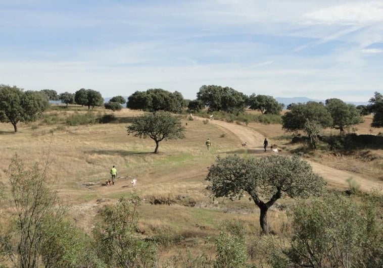 caza-cordoba-campo-RgKYb85ByGZApDlXNDYLY9I-758x531@diario_abc.jpg