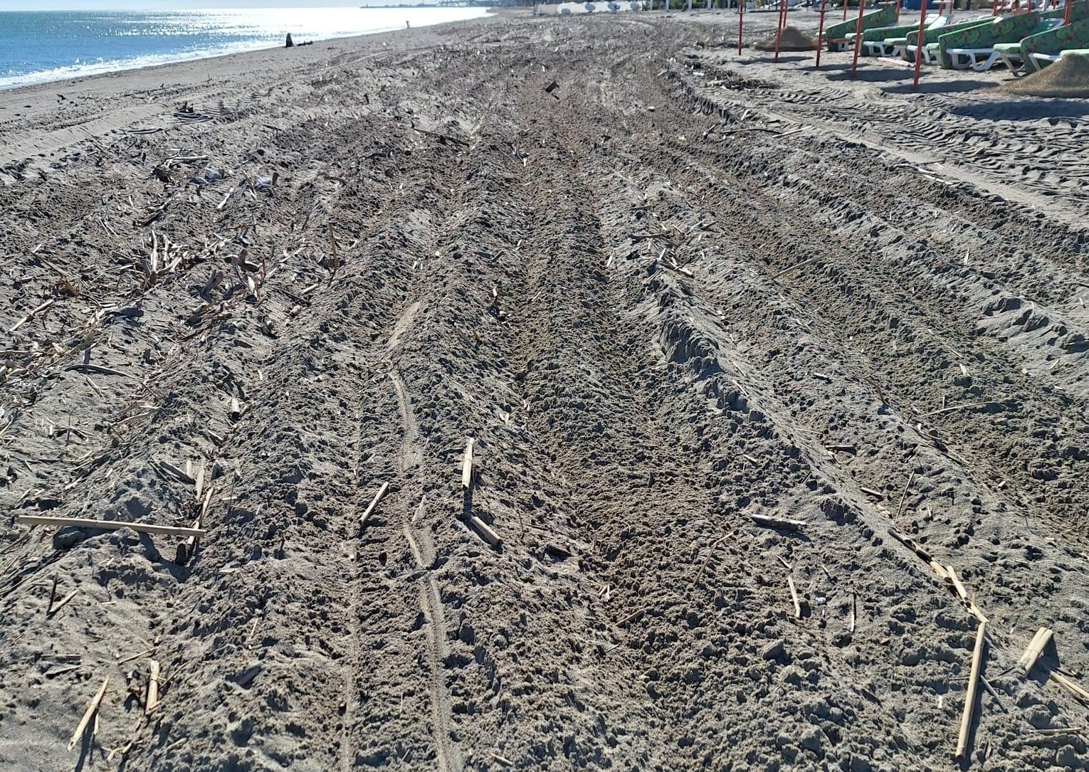 Imagen secundaria 1 - Así se encuentra la playa