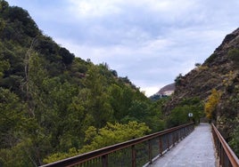 Bonita, corta y con puentes colgantes: así es la desconocida ruta senderista de Granada a orillas del río Genil