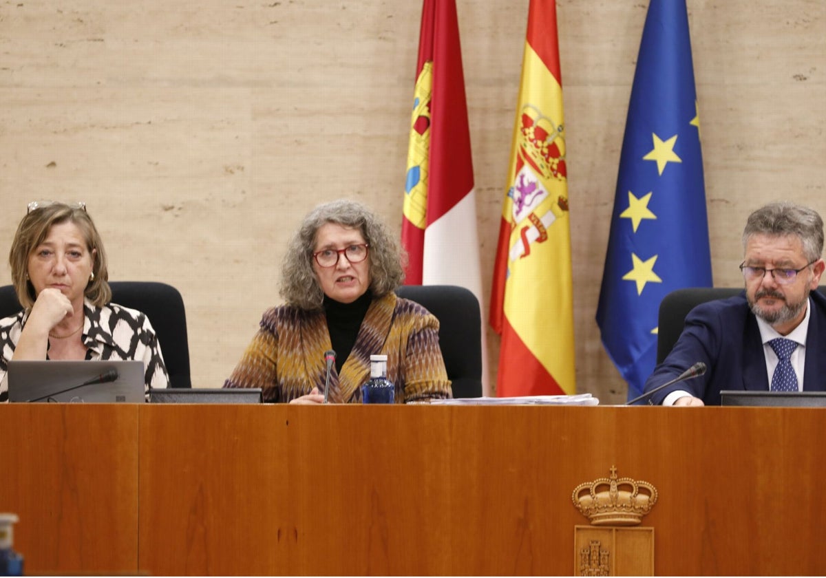 La consejera Mercedes Gómez durante su comparecencia en las Cortes regionales