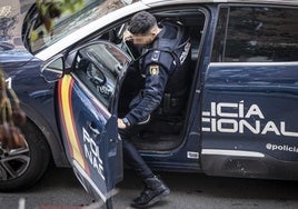 Detenido 'in fraganti' al autor de más de 60 robos en coches y casas en seis meses en Alcalá de Henares