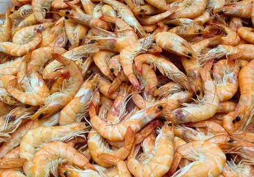 Un pescadero de Málaga advierte sobre por qué las gambas se ponen negras: «Se produce una reacción...»