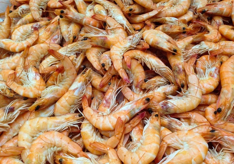 gambas-pescaderia-archivo-Rp1MHjKeofSnDhvehgHQs7M-758x531@diario_abc.jpg