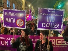 Miles de personas se movilizan en las calles de toda Andalucía contra la violencia de género