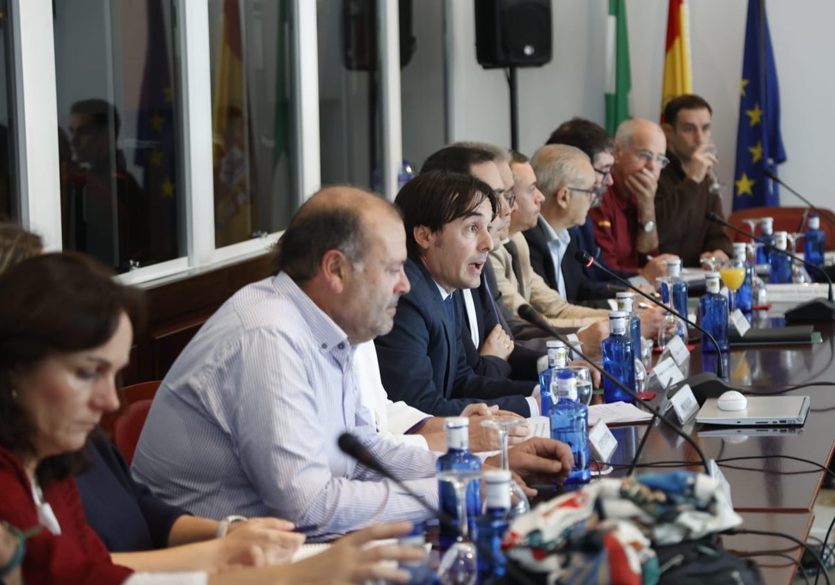 Enrique Mateos, este lunes durante su intervención en el pleno del Consejo de Participación de Doñana