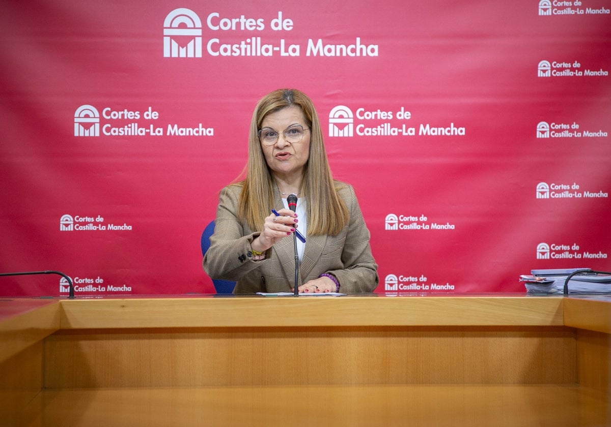 Lourdes Luna durante su comparecencia en las Cortes regionales