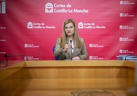 Directora del Instituto de la Mujer: «Las cifras de la violencia de género crecerán en el futuro al aflorar las situaciones de violencia»