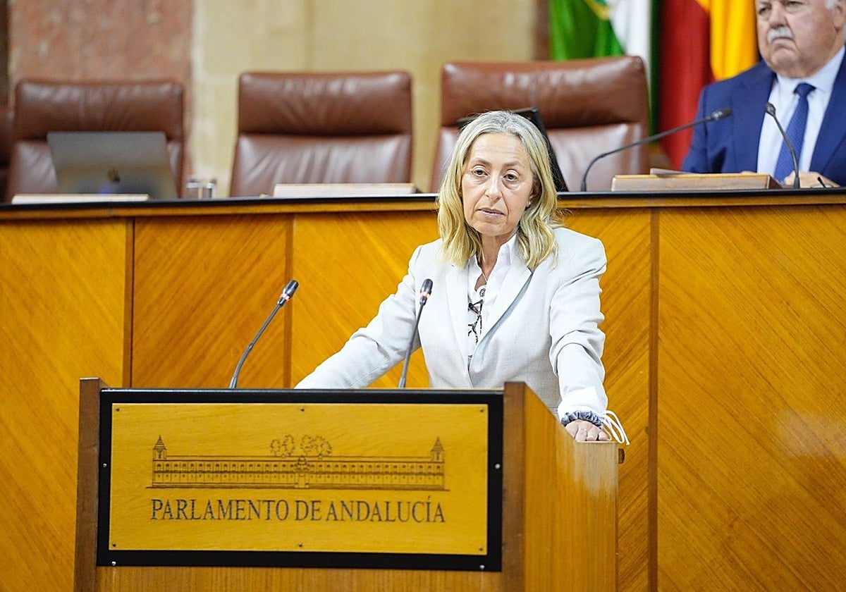 La consejera de Salud, Rocío Hernández, en el Parlamento