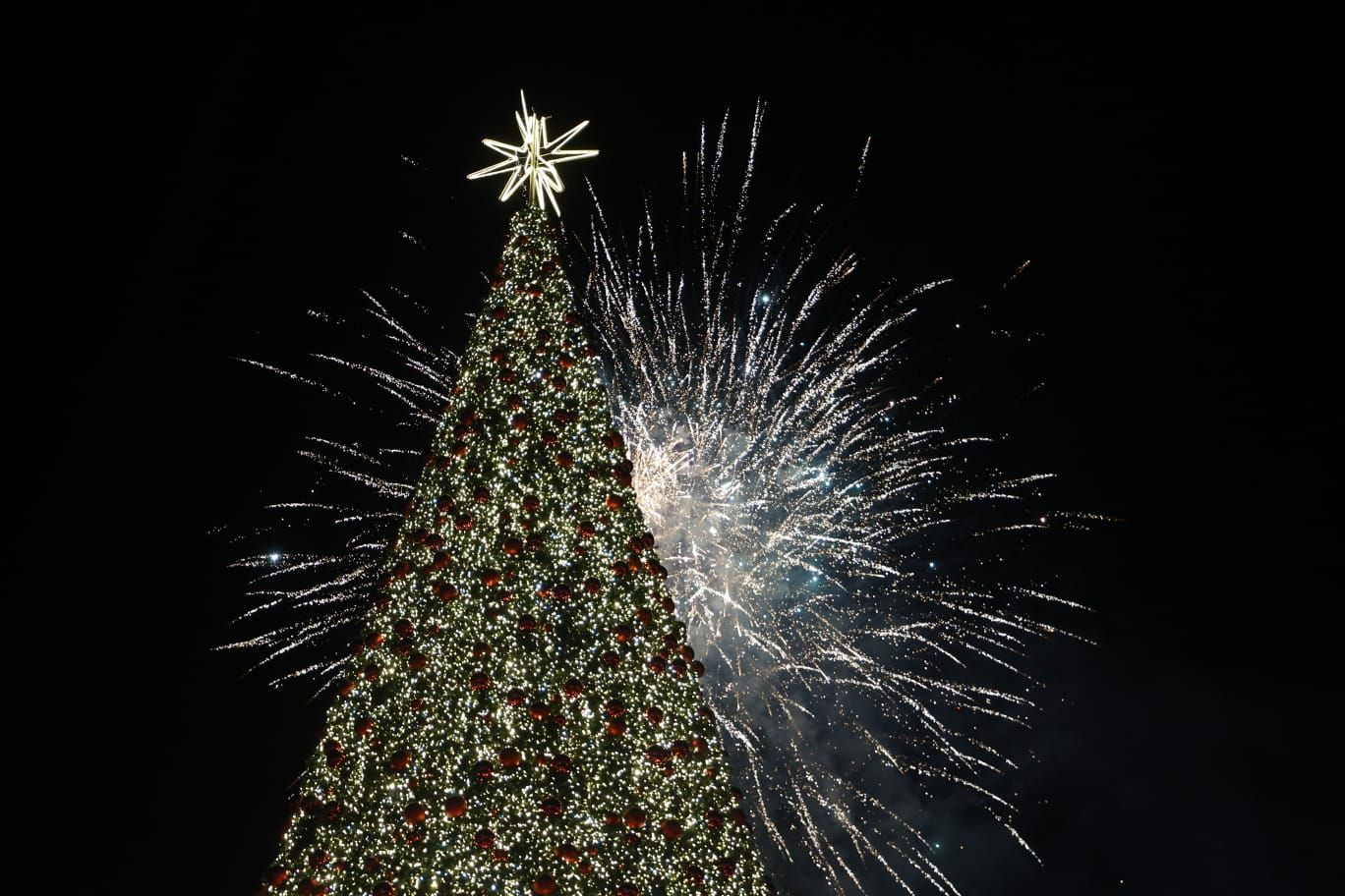 Fuegos artificiales tras el árbol ya encendido