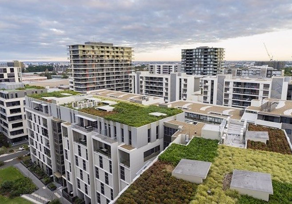 Espacios verdes en las azoteas