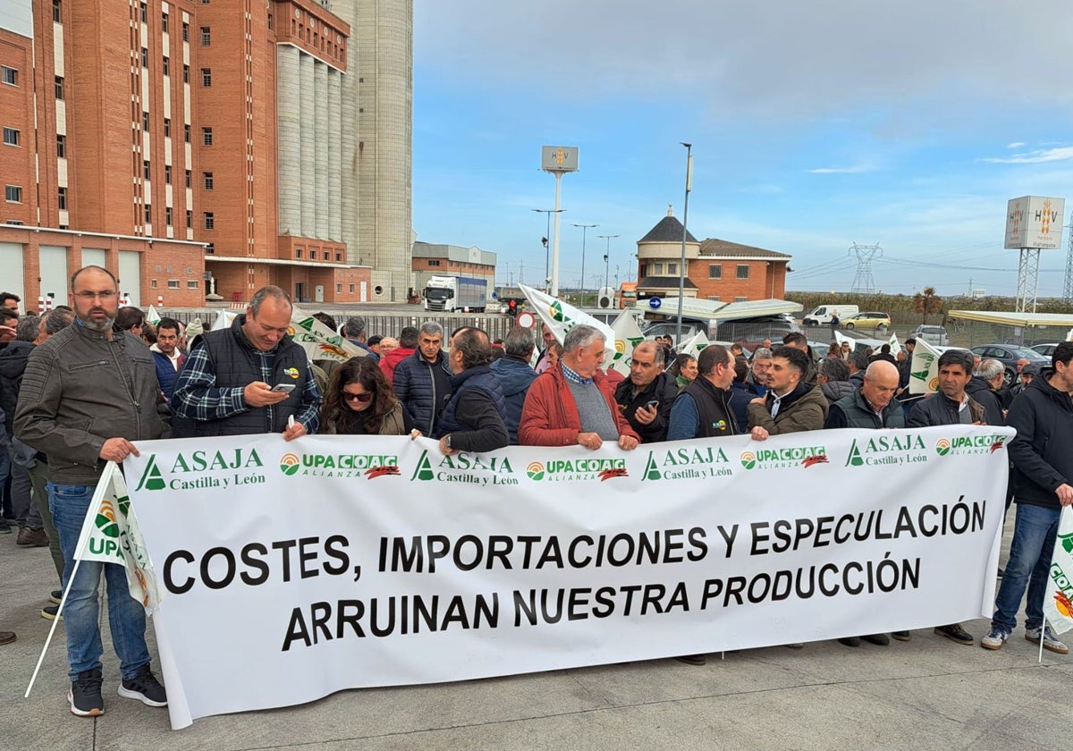 Asaja, UPA y COAG se movilizan para denunciar la crisis económica que sufre el sector del cereal