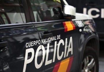 Operación Carreta: golpe policial a delincuentes reincidentes y violentos en la comarca de Talavera