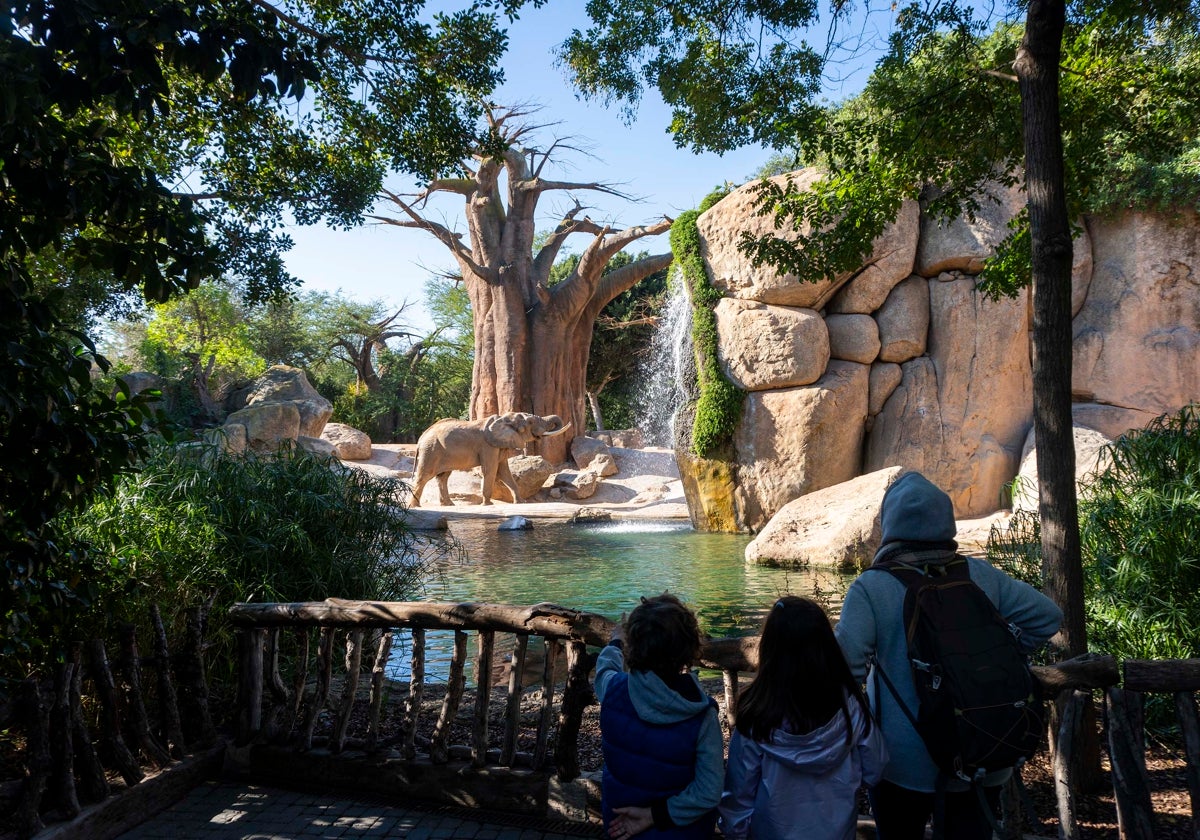 Una familia observa a los elefantes en la sabana africana de Bioparc Valencia