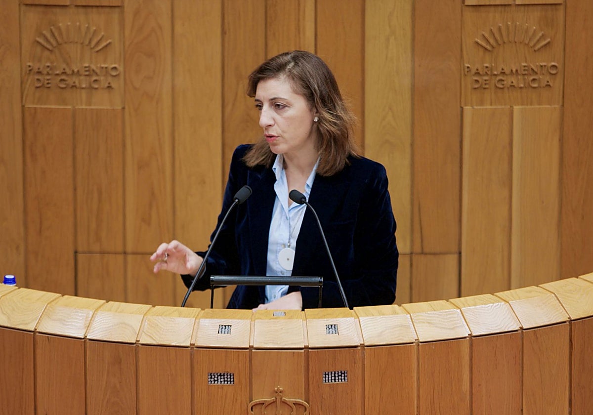 Ángeles Vázquez, en su intervención de este martes en el Parlamento