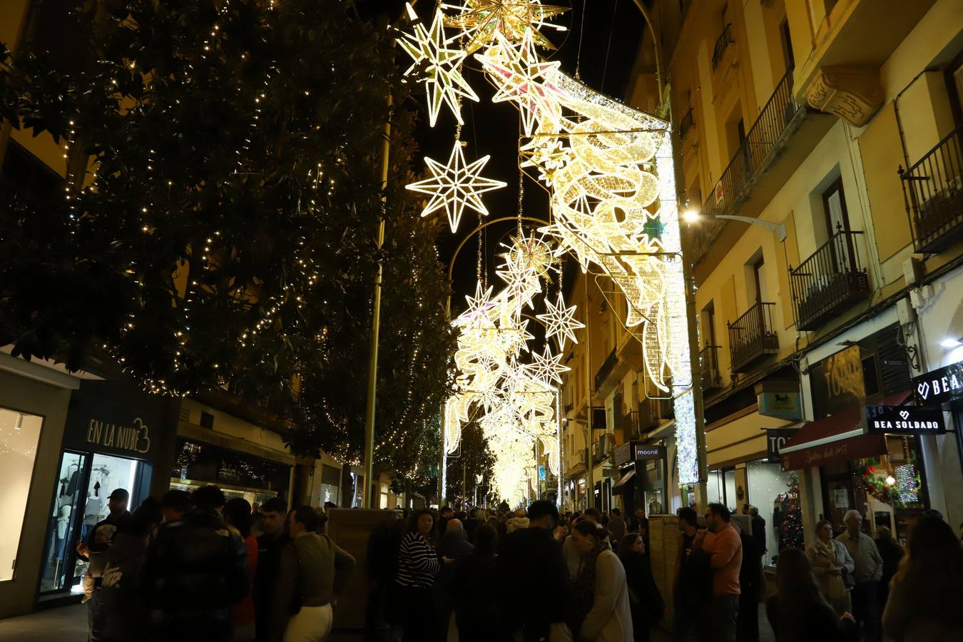 Las luces de Navidad del centro de Córdoba, en imágenes
