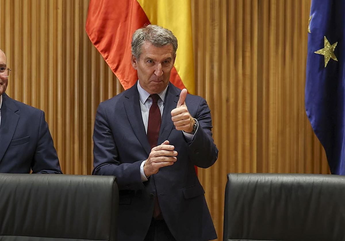 Alberto Núñez Feijóo, presidente del PP, en el Congreso