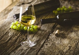 Castilla y León, donde el agua dulce da vida a grandes vinos