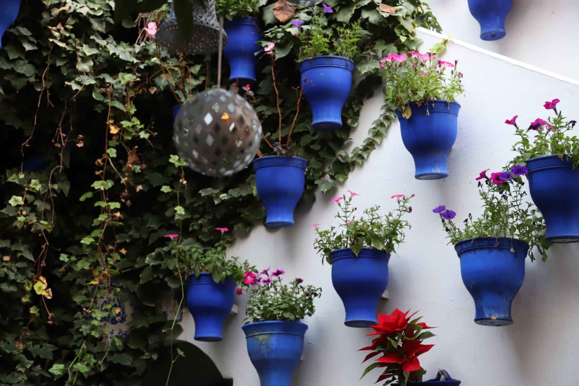 Los Patios de Córdoba abren sus puertas en Navidad, en imágenes