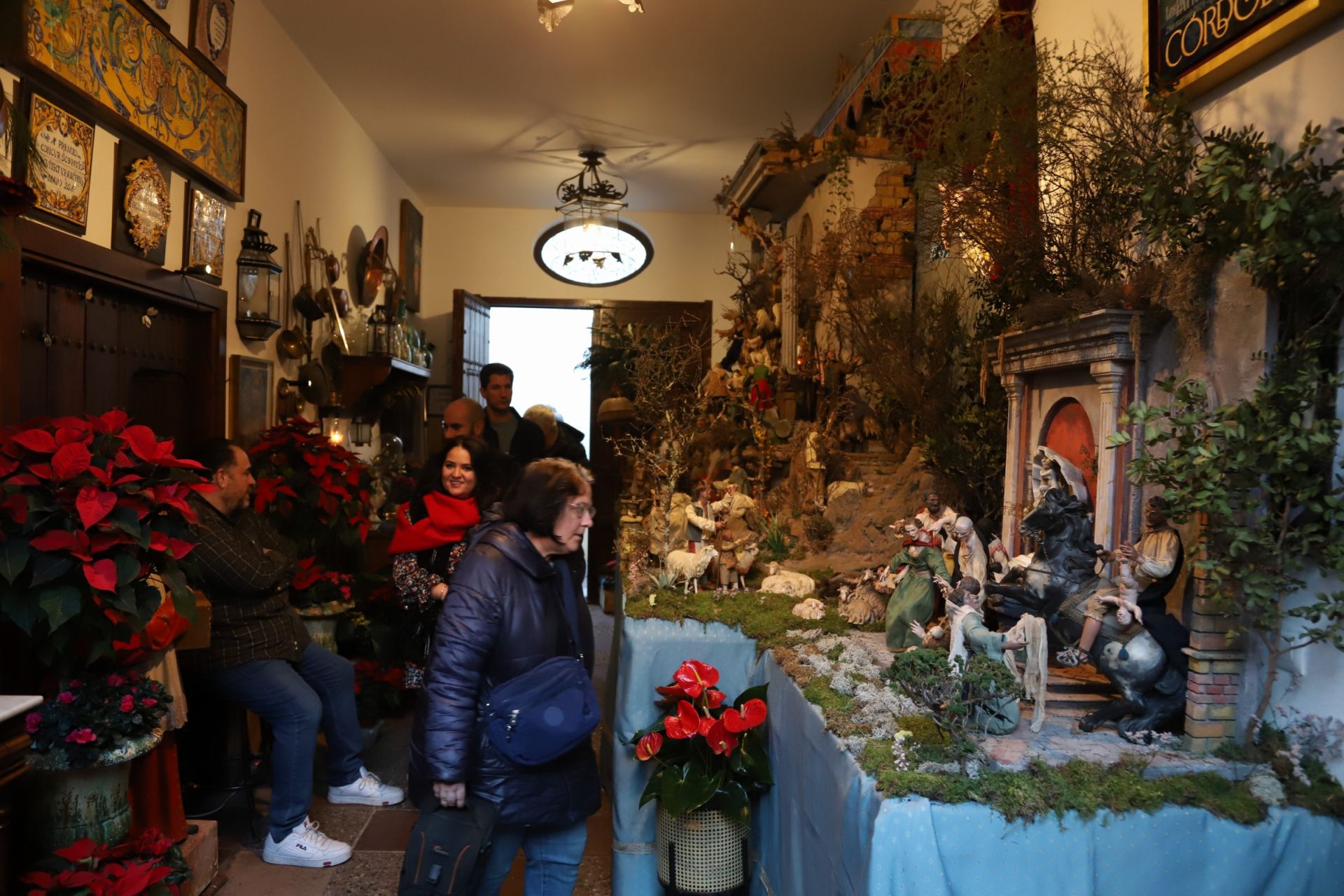 Los Patios de Córdoba abren sus puertas en Navidad, en imágenes