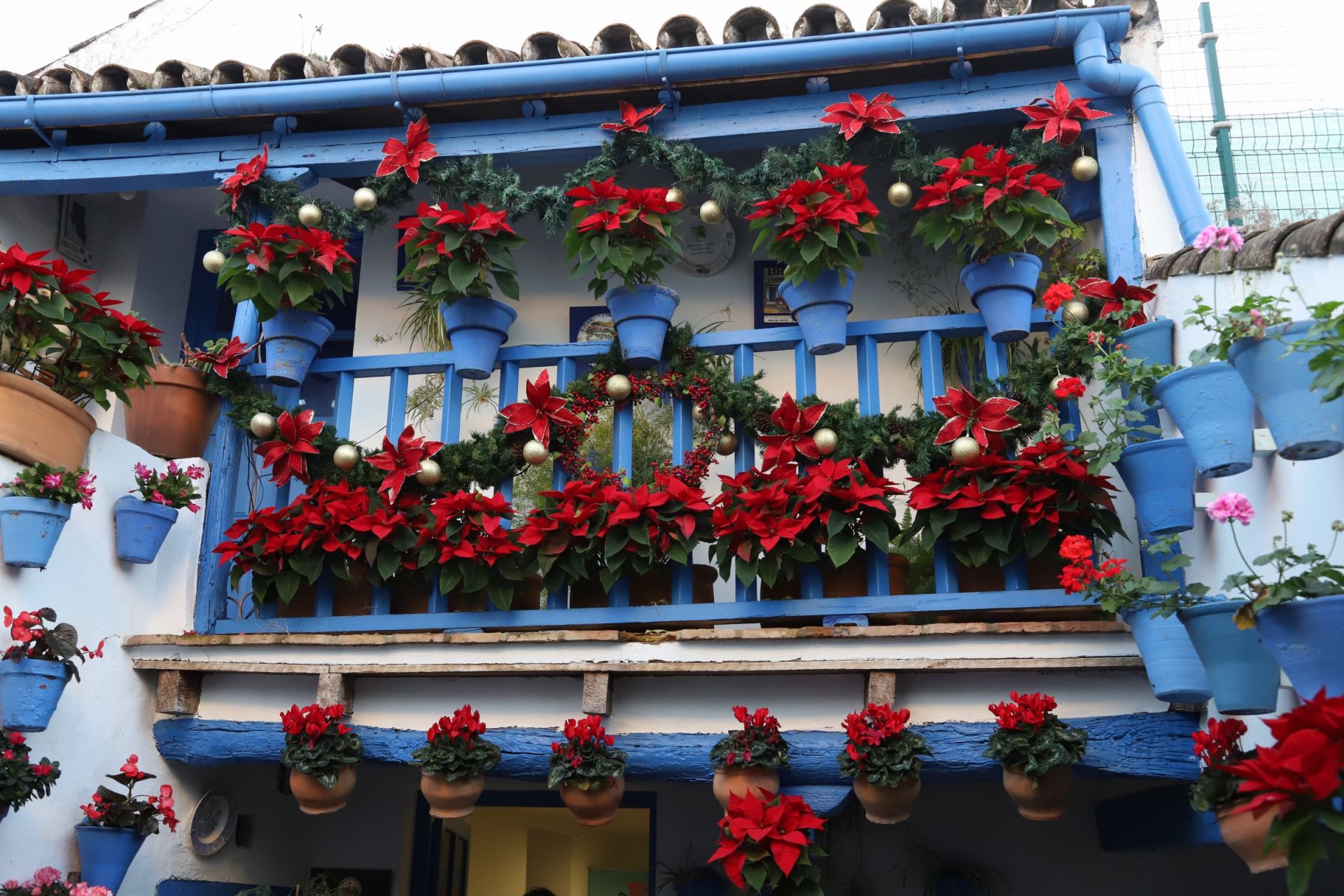 Los Patios de Córdoba abren sus puertas en Navidad, en imágenes