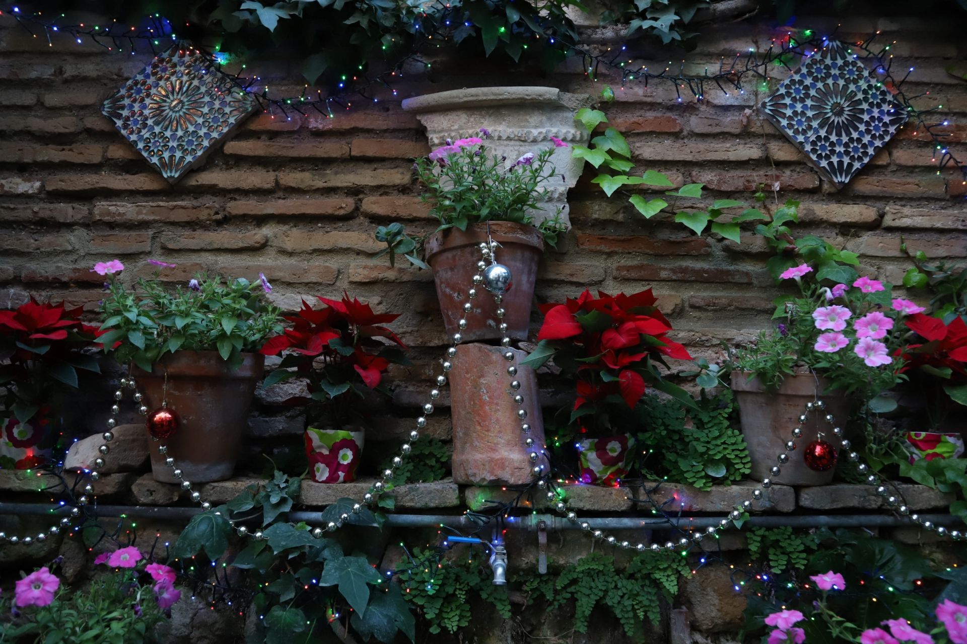 Los Patios de Córdoba abren sus puertas en Navidad, en imágenes