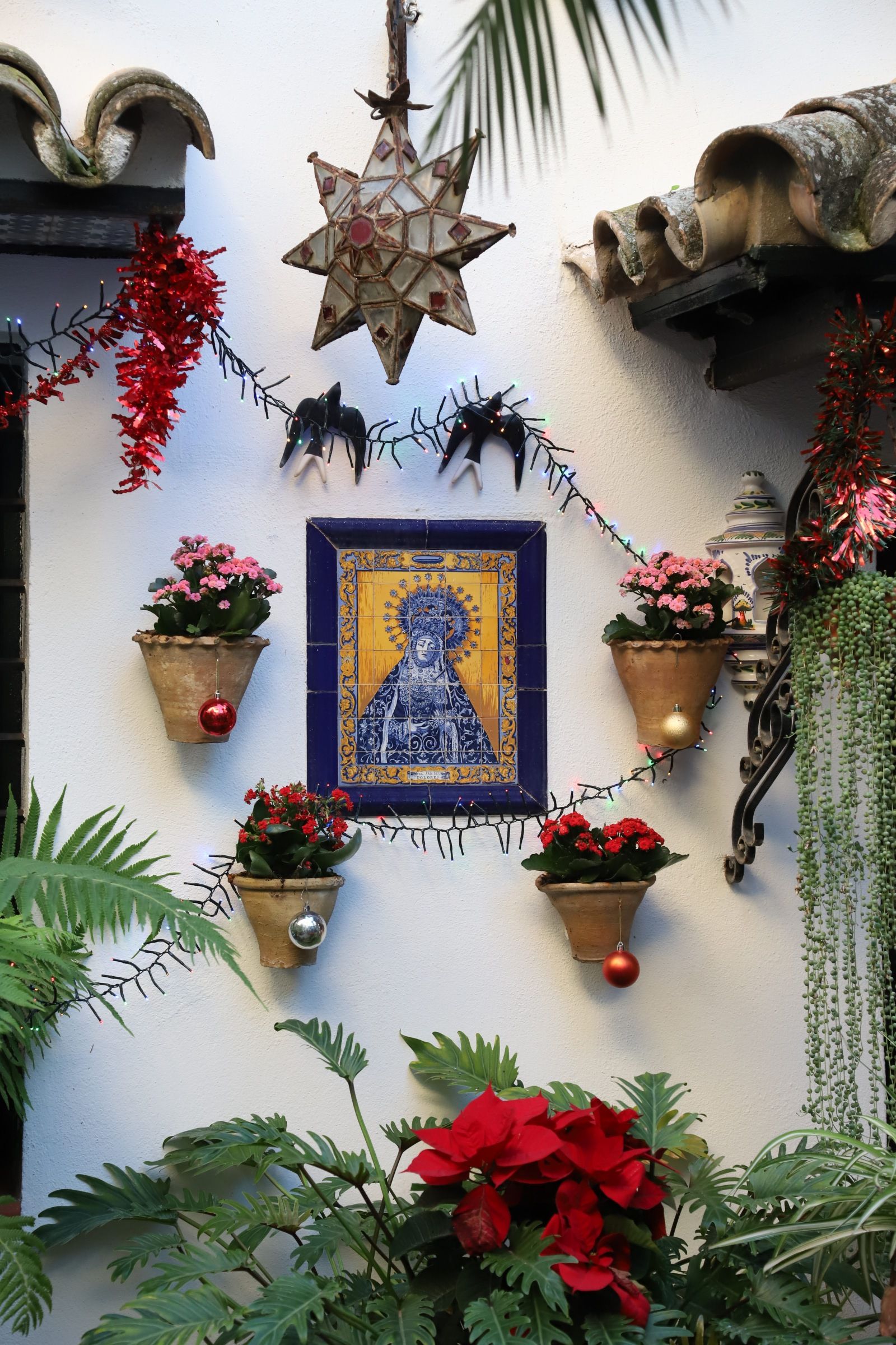 Los Patios de Córdoba abren sus puertas en Navidad, en imágenes