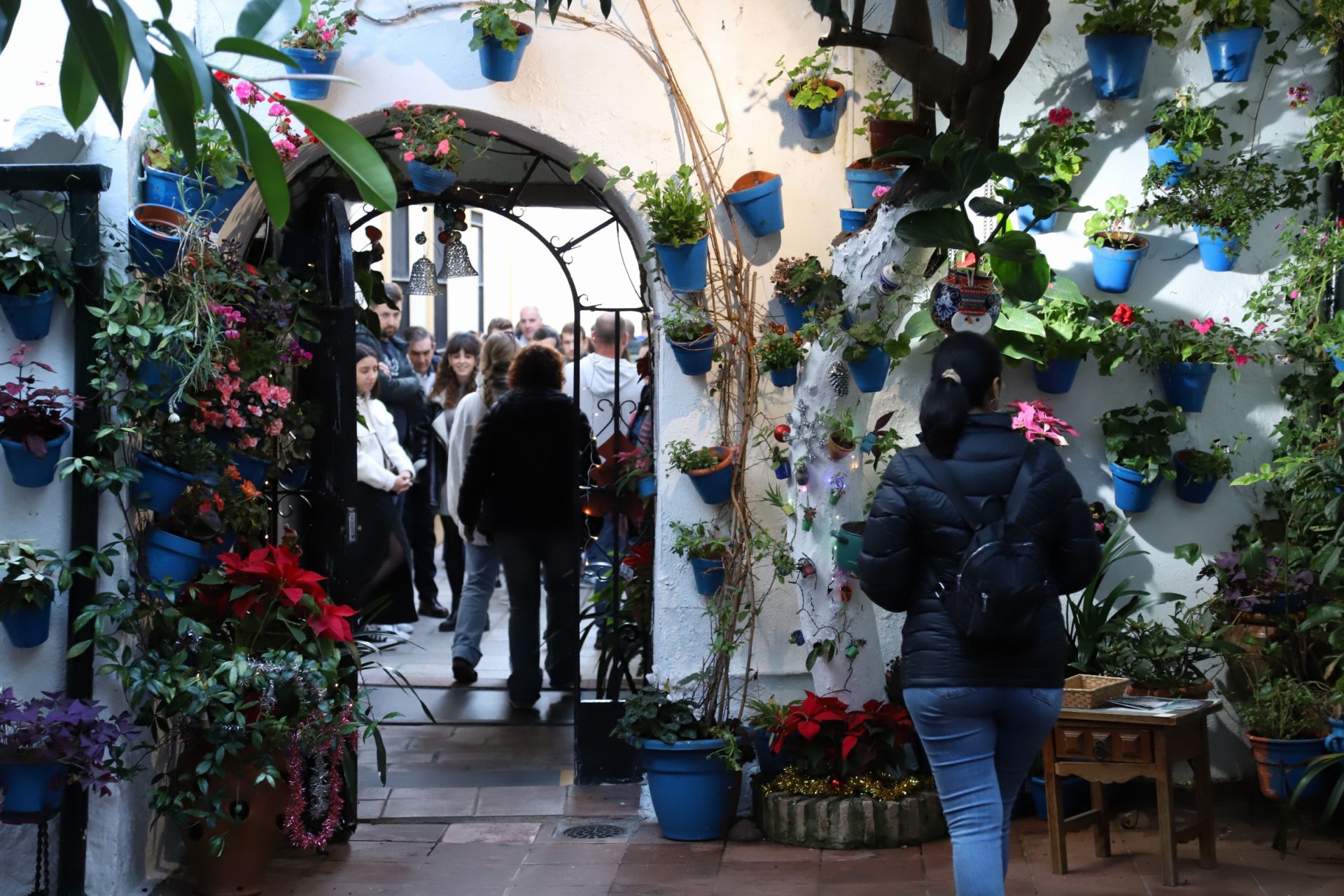 Los Patios de Córdoba abren sus puertas en Navidad, en imágenes