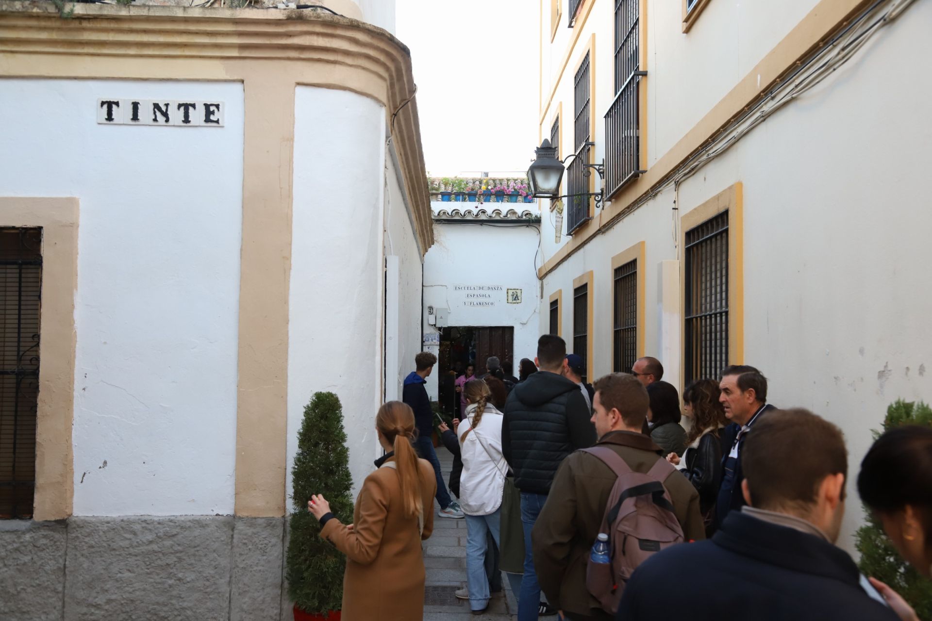 Los Patios de Córdoba abren sus puertas en Navidad, en imágenes