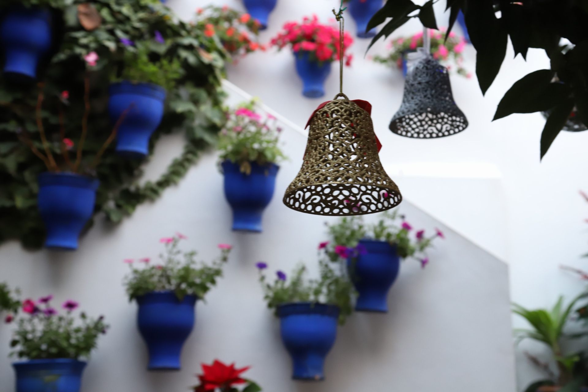 Los Patios de Córdoba abren sus puertas en Navidad, en imágenes