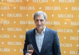 Menos producción y precios más altos para el cava debido a la sequía