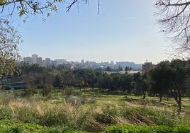 La Dehesa de la Villa, cuyo origen se remonta a 1152, declarada Bien de Interés Cultural