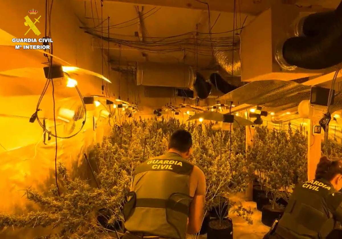 Imagen de uno de los laboratorios de cultivo de marihuana desmantelados en Castellón