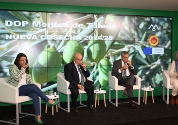 «Enorme calidad» de la nueva cosecha de aceite de la DOP Montes de Toledo