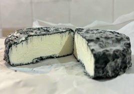 El queso de plasta blanda de oveja de Toledo que ha triunfado en el paraíso quesero entre los mejores del mundo