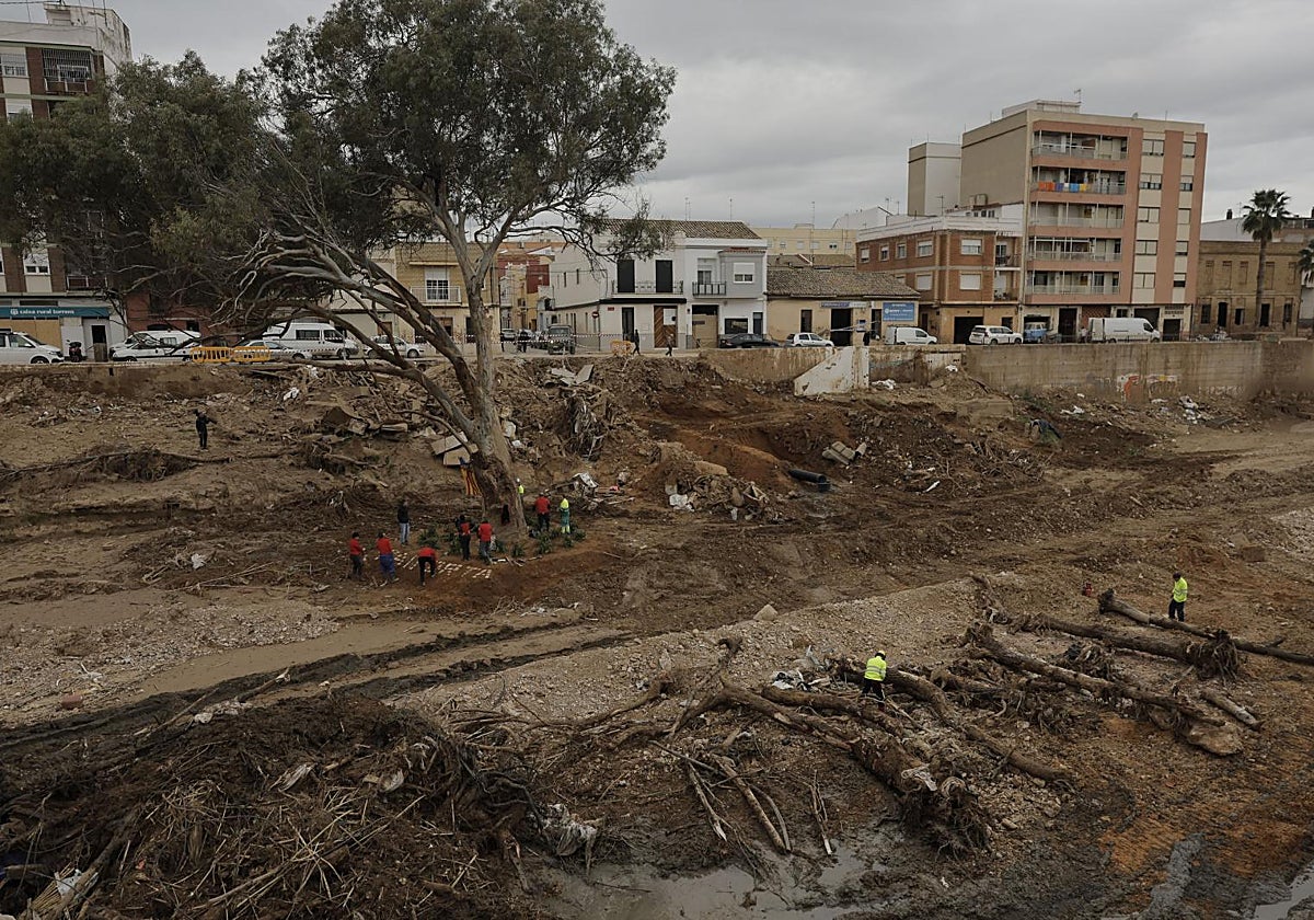Imagen tomada en el barranco del Poyo a su altura por Paiporta