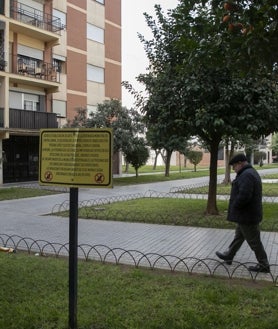 Imagen secundaria 2 - Árboles, vegetación y distintos rincones de los espacios privados de uso público en los bloques 1 al 9 de la calle José Altolaguirre, en el Parque Cruz Conde