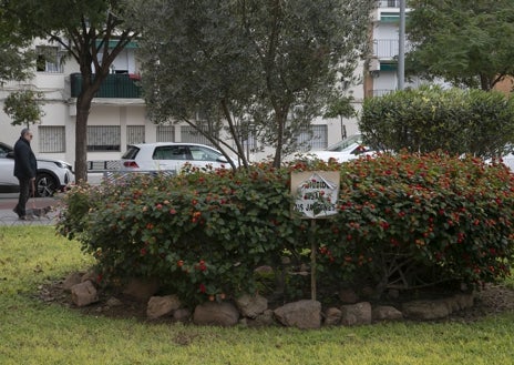 Imagen secundaria 1 - Árboles, vegetación y distintos rincones de los espacios privados de uso público en los bloques 1 al 9 de la calle José Altolaguirre, en el Parque Cruz Conde