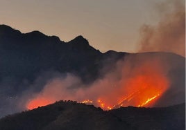 Detienen al presunto responsable del incendio que arrasó casi 600 hectáreas en Almuñécar