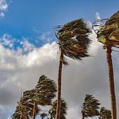 Suspendidas las clases en El Hierro, Tenerife, La Gomera y zonas de La Palma por el temporal