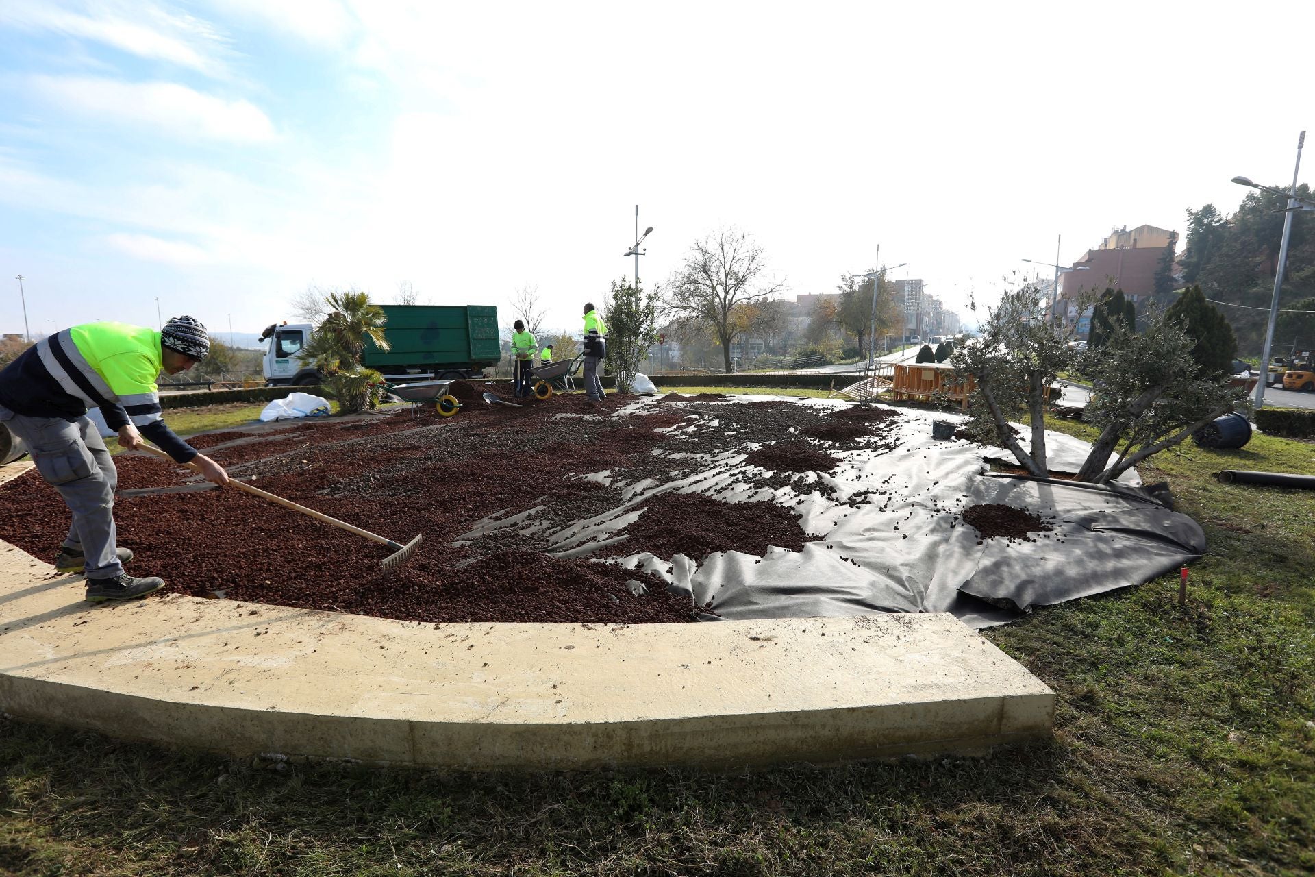 Una palmera, un olivo y un laurel, nueva plantación en la avenida de Madrid