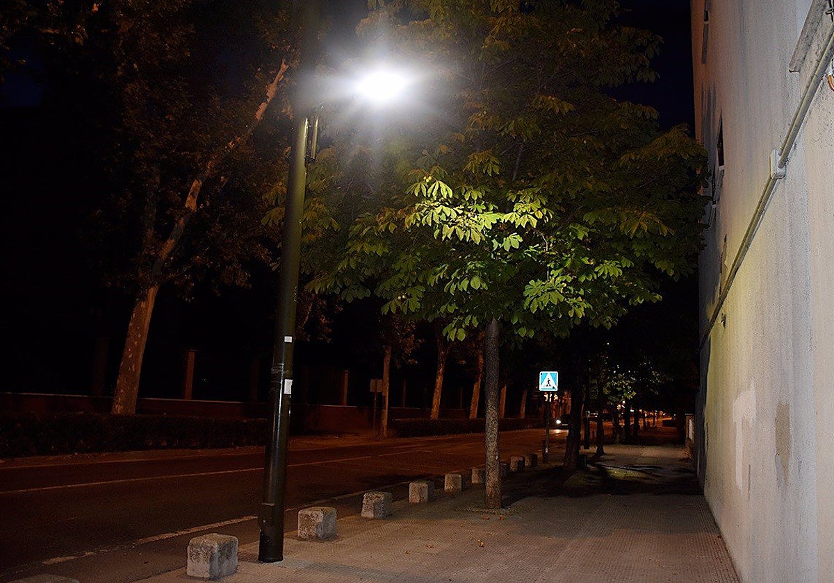 Detenido un hombre por causar daños en 26 farolas de Daimiel