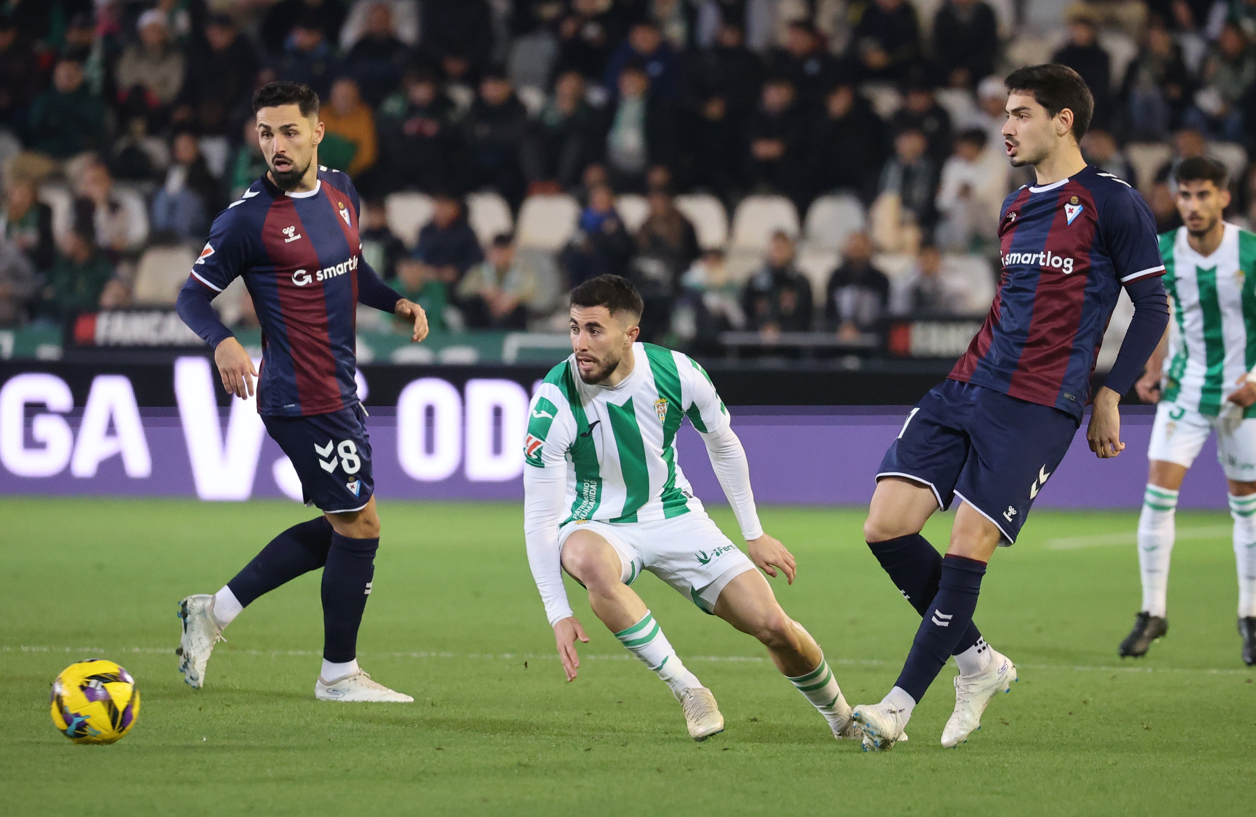 La alegría del triunfo del Córdoba ante el Eibar, en imágenes