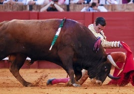 Manzanares, Talavante, Adrián y Ortega, cartel estrella en la Feria del Milagro de Illescas