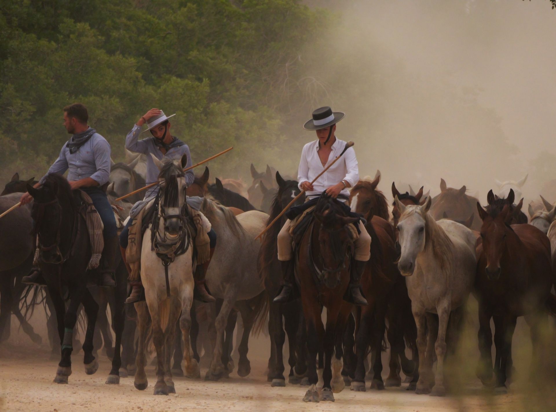 Las mejores fotos del año de la Naturaleza andaluza, por Carlos Romero