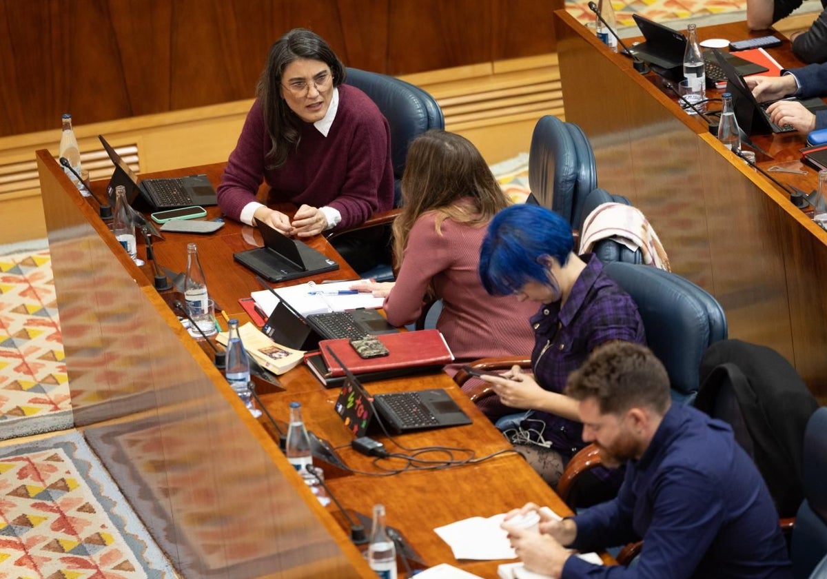 La bancada de Más Madrid, con su portavoz, Manuela Bergerot, al frente