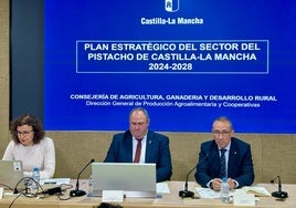 Se presenta el Plan Estratégico del Pistacho para los próximos cuatro años