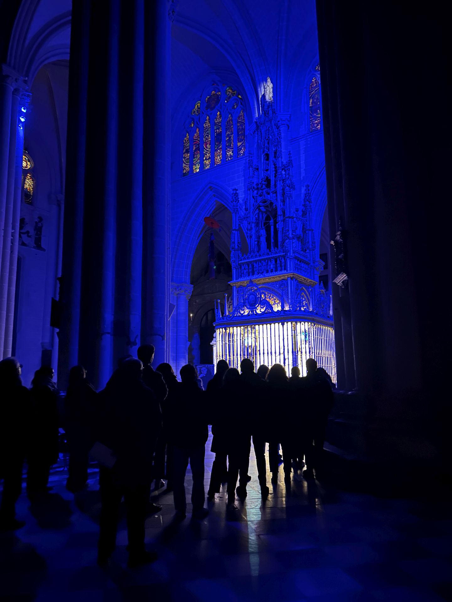 Espectaculares imágenes de &quot;Lumina Catedral de Toledo&#039;, que cumple su primer año de vida