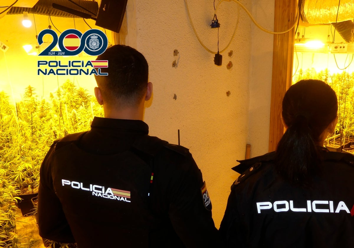 Imagen de dos agentes de la Policía Nacional en la plantación de marihuana intervenida en Alicante