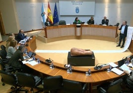 El BNG intenta sin éxito devolver la comisión a su fase de ponencia